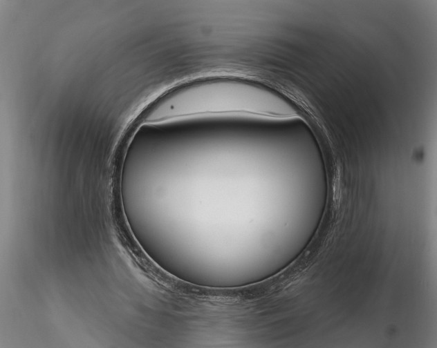 X0000116380436200912161504