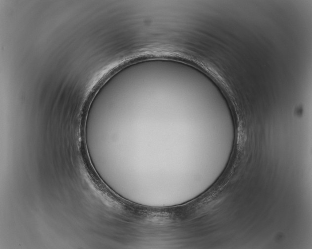 X0000116380438200912161504