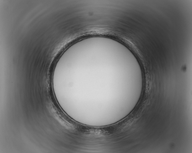 X0000116380439200912161504