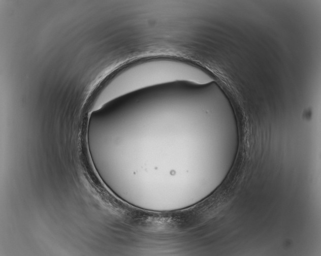 X0000116380440200912161504