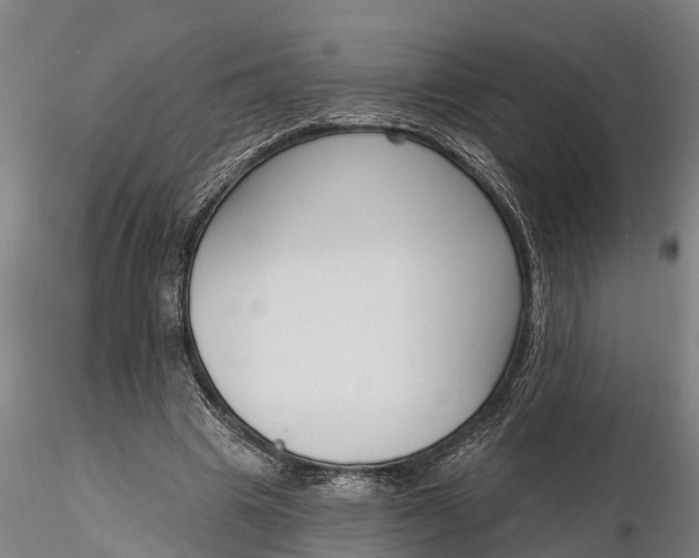 X0000116380441200912161504