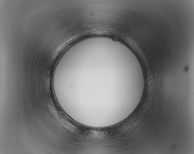 X0000116380442200912161504