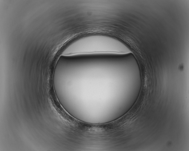 X0000116380444200912161504