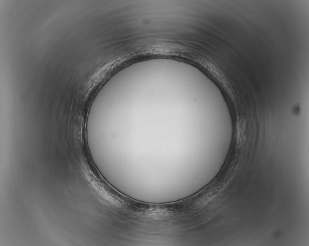 X0000116380445200912161505