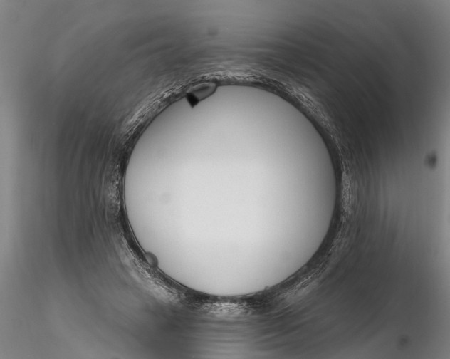 X0000116380449200912161505