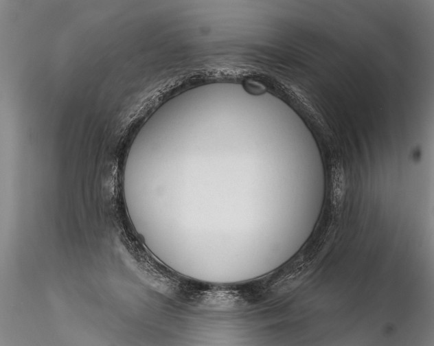 X0000116380451200912161505