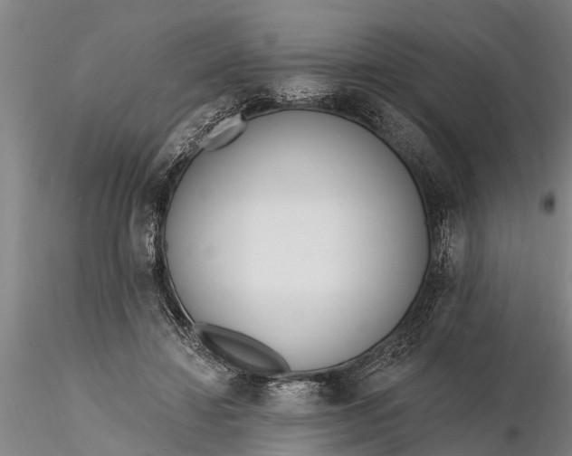 X0000116380452200912161505