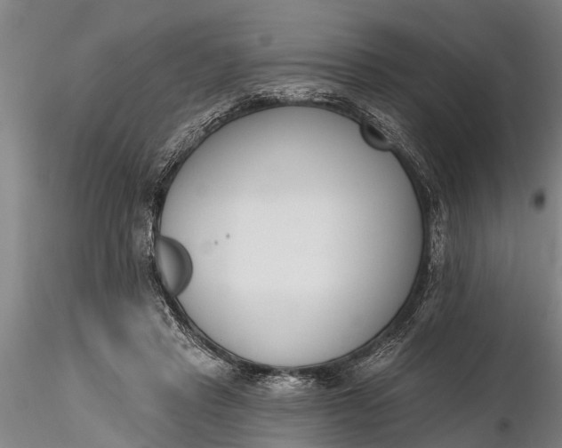X0000116380453200912161505