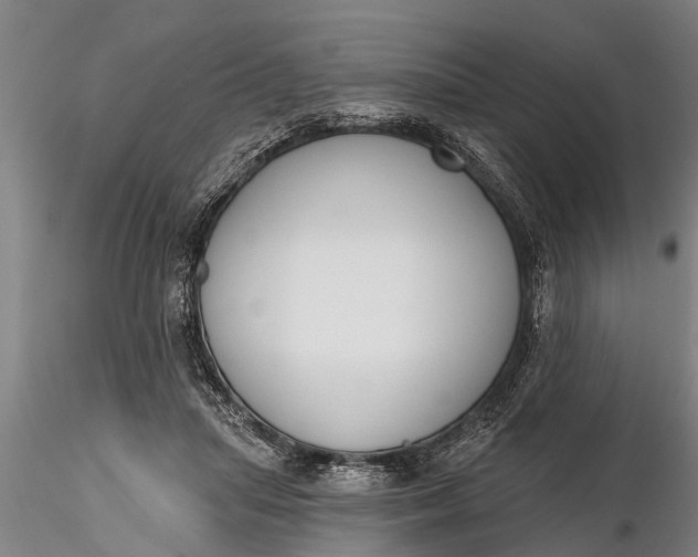 X0000116380455200912161505