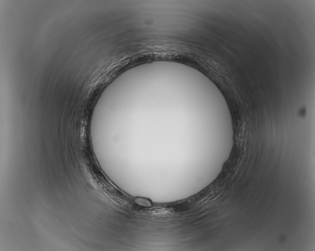 X0000116380456200912161505