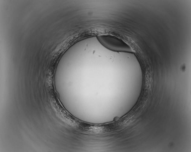 X0000116380457200912161505