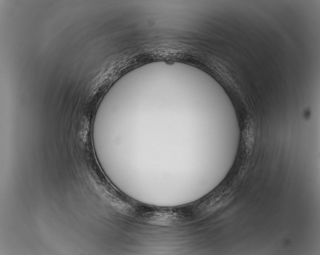X0000116380458200912161505
