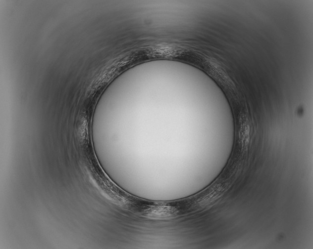 X0000116380459200912161505