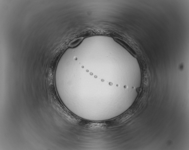 X0000116380465200912161505