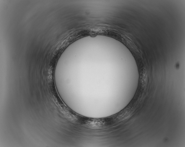 X0000116380466200912161505
