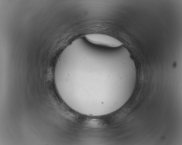 X0000116380467200912161505