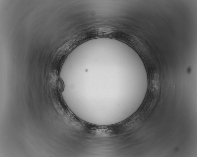 X0000116380468200912161505