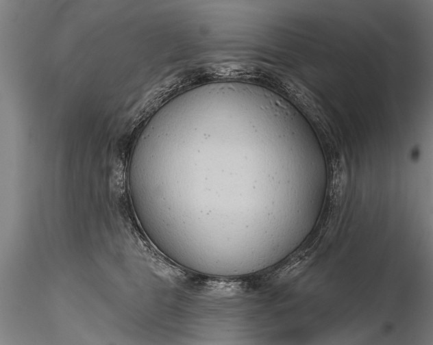 X0000116380469200912161505