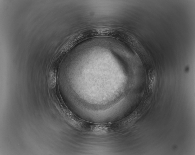 X0000116380471200912161505