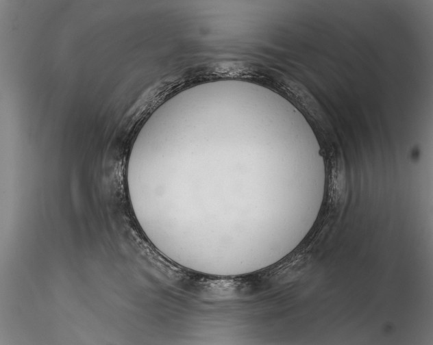 X0000116380473200912161505