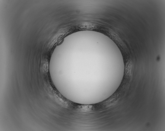 X0000116380474200912161505