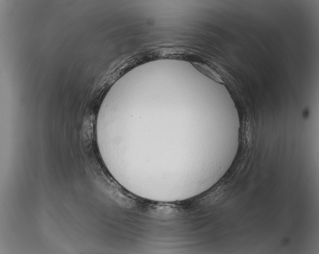 X0000116380475200912161505