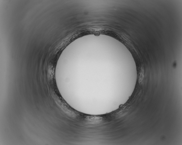 X0000116380476200912161505