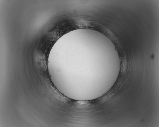 X0000116380477200912161505