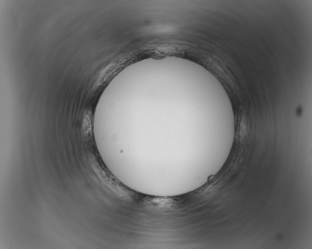 X0000116380478200912161505