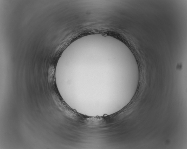X0000116380480200912161505