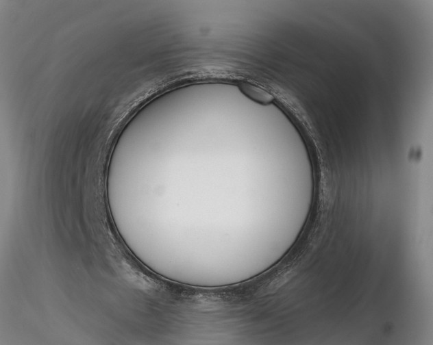 X0000116380481200912161504