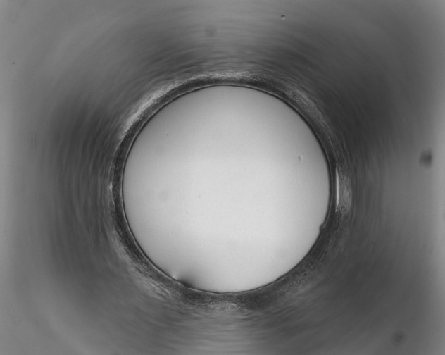 X0000116380483200912161504