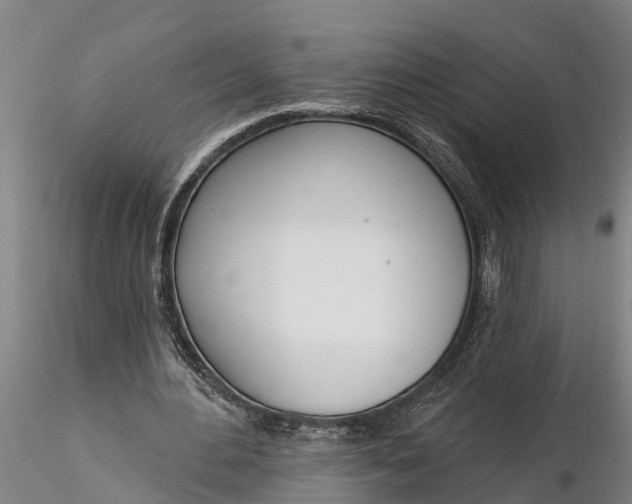 X0000116380484200912161504