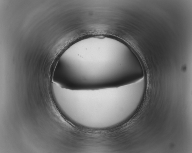 X0000116380485200912161504