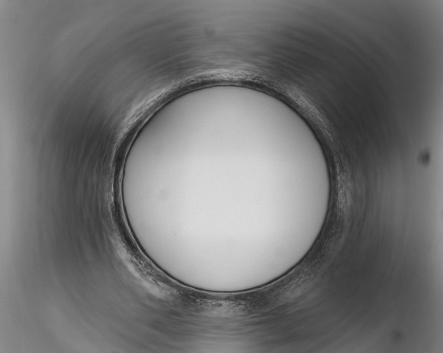X0000116380486200912161504