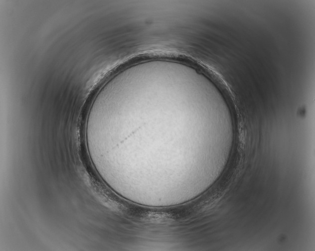 X0000116380487200912161504