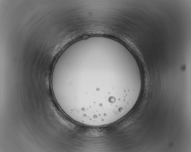 X0000116380489200912161504