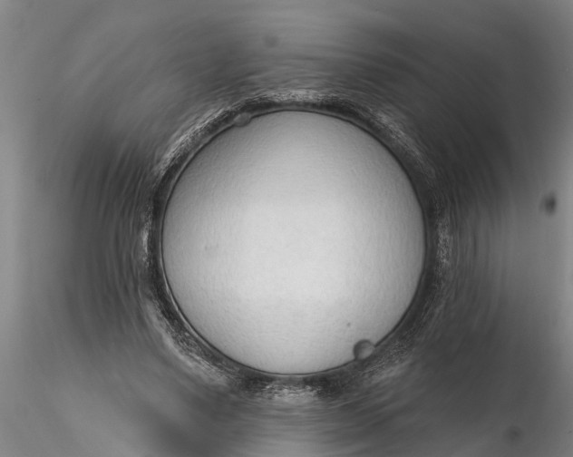 X0000116380491200912161504