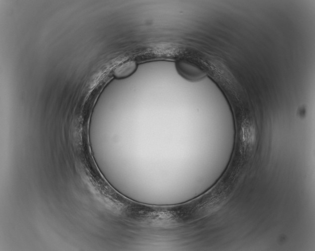 X0000116380492200912161504