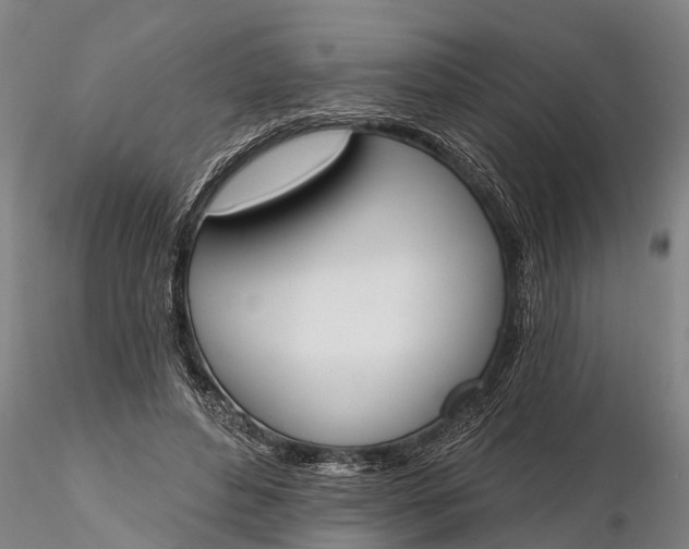 X0000116380496200912161504