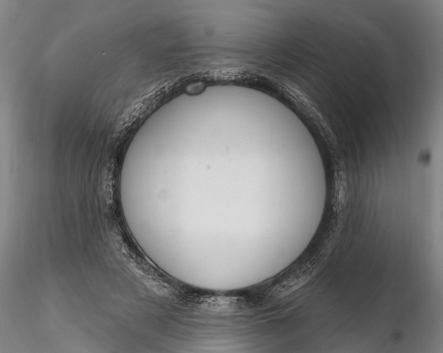 X0000116380497200912161504