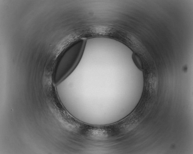 X0000116380500200912161504