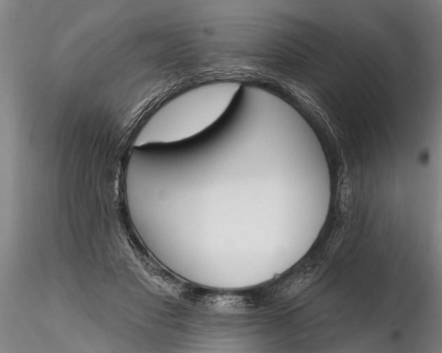X0000116380501200912161504
