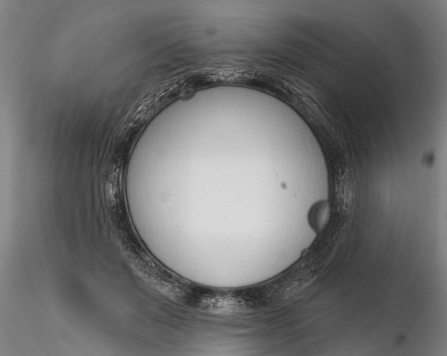 X0000116380503200912161504