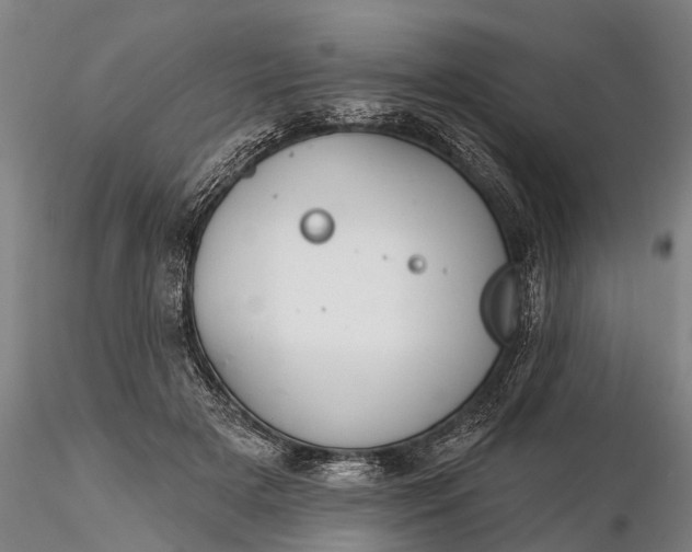 X0000116380505200912161504