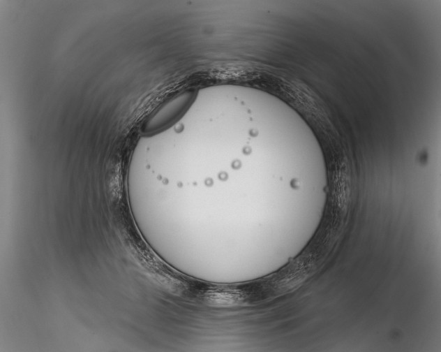 X0000116380510200912161504