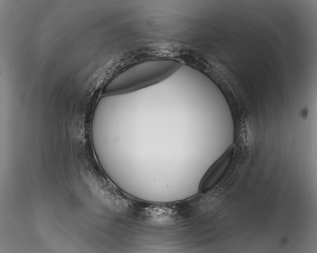 X0000116380512200912161504