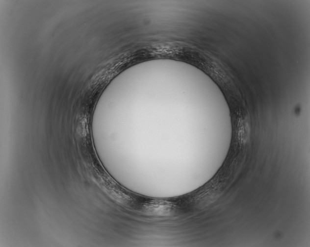 X0000116380514200912161504