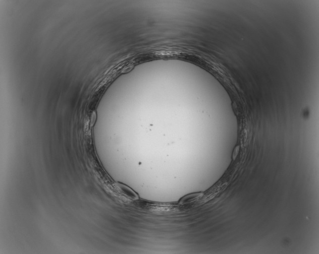 X0000116380521200912161504