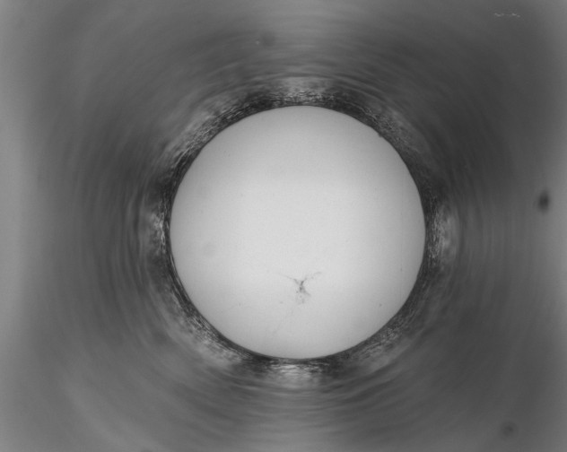 X0000116380522200912161504